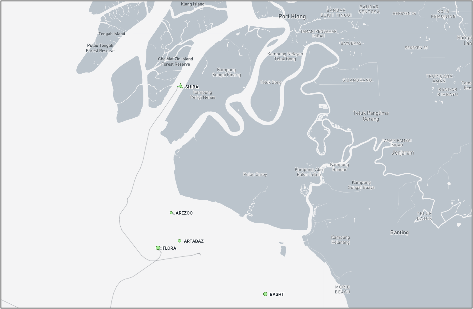 Iran-flagged cargo ships at Port Klang on September 29 (Credit: Marine Traffic)