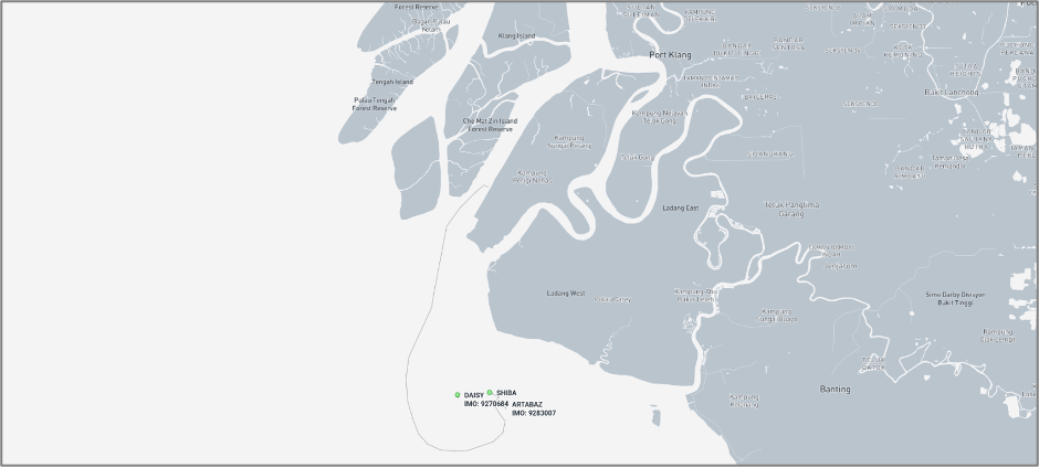 Iran-flagged vessels at Port Klang on July 30 (Credit: Marine Traffic)