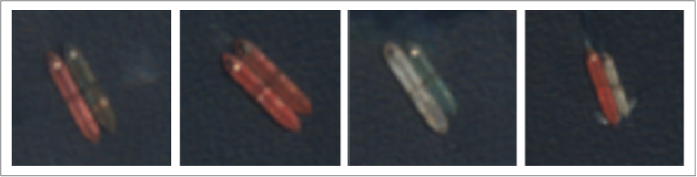 STS transfers of Iranian crude in the Malaysian EOPL on August 12 (Credit: ESA Copernicus)