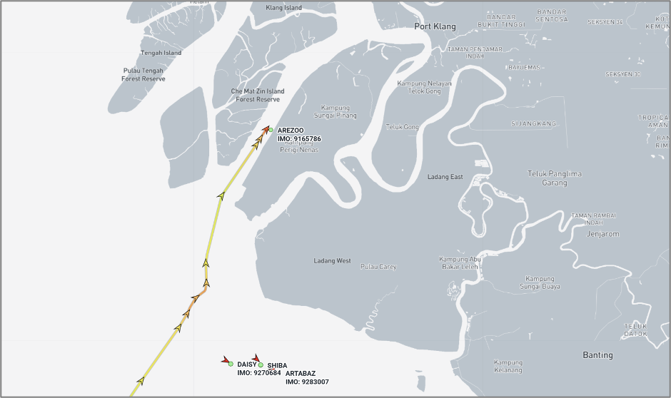 Iran-flagged cargo vessels at Port Klang on August 4 (Credit: Marine Traffic)