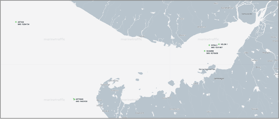 Iran-flagged cargo ships in the Gulf of Kutch on August 12 (Credit: Marine Traffic)