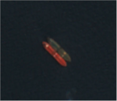 Iran flagged tanker conducting an STS in EOPL on July 13 (Credit: ESA Copernicus)
