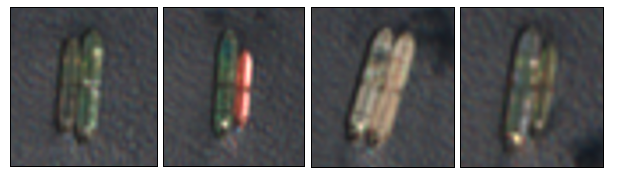 four sts transfers EOPL