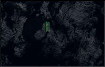 satellite image natalina sophia