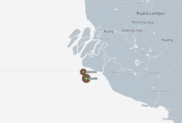 Iran-flagged container ships near Port Klang, Malaysia on May 22 (Credit: Marine Traffic)