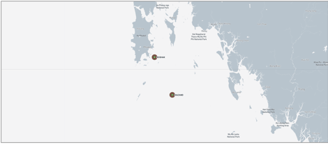 Iran-flagged cargo ships near Phuket on June 12 (Credit: Marine Traffic)