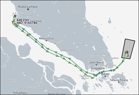 AREZOO in sea straits