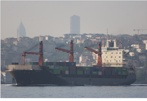 Iran-flagged cargo ships in the Bosphorus on July 19 (Credit: @YorukIsik / X)